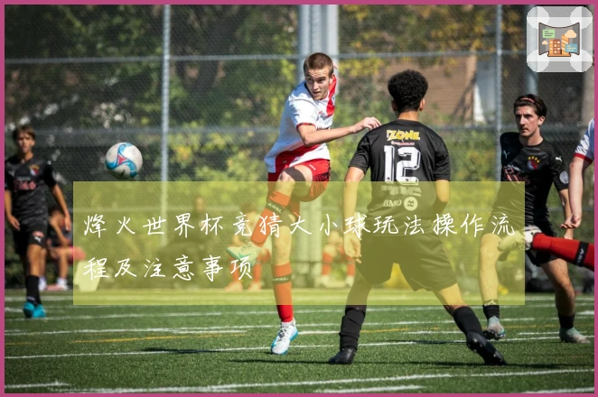烽火世界杯竞猜大小球玩法操作流程及注意事项