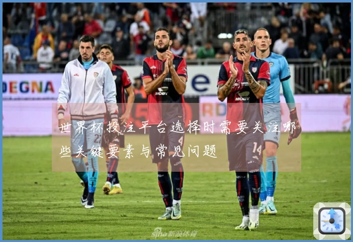 世界杯投注平台选择时需要关注哪些关键要素与常见问题