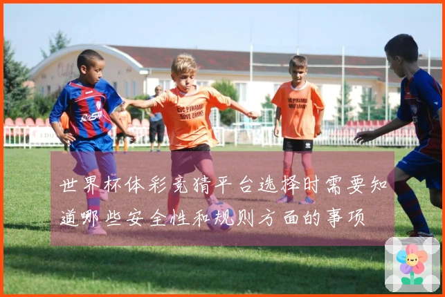 世界杯体彩竞猜平台选择时需要知道哪些安全性和规则方面的事项
