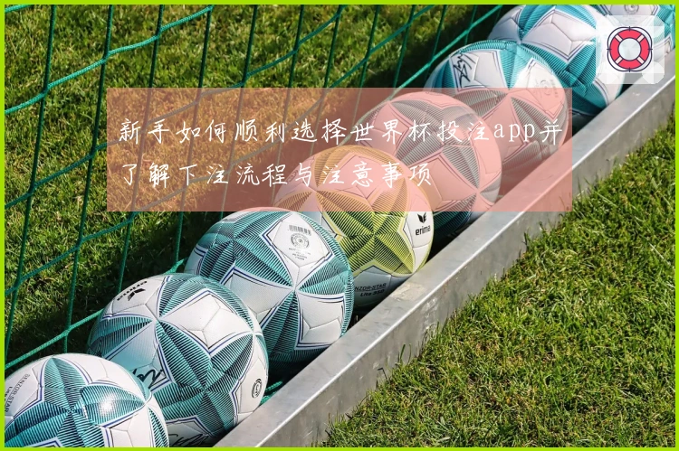 新手如何顺利选择世界杯投注app并了解下注流程与注意事项
