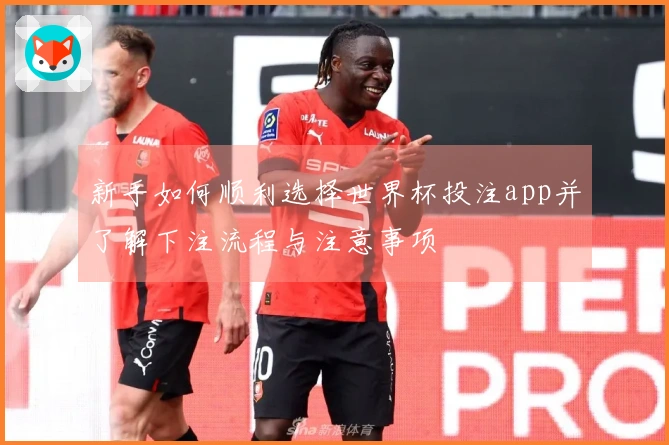 新手如何顺利选择世界杯投注app并了解下注流程与注意事项